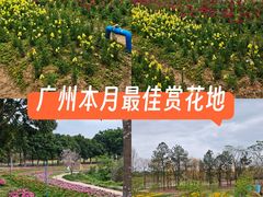 -天适樱花悠乐园