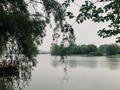 -东湖生态旅游风景区