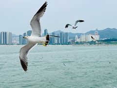 -刘公岛景区