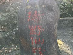 -武夷山风景名胜区-玉女峰