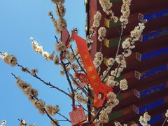 -终南山南五台景区