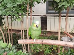 -南宫五洲植物乐园