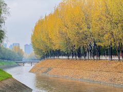 -汉长安城未央宫国家考古遗址公园