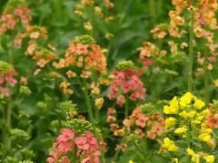 -中国天府农业博览园