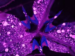 -凯德广场(武胜路店)