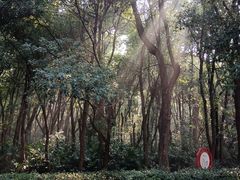 -大蜀山国家森林公园
