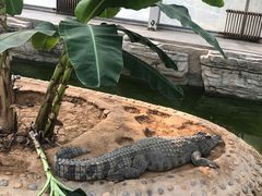 -石家庄市动物园