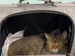 -达爱动物医院·犬猫分区·CT·复杂眼科(远洋山水分院)
