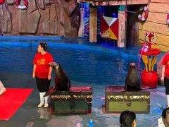 -烟台海昌鲸鲨海洋公园