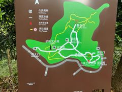 -上海佘山国家森林公园天马山园