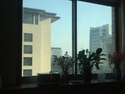 -宜肤清颜专业祛痘问题肌修护