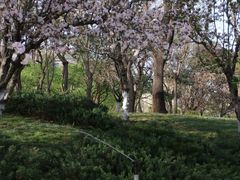 -元大都城垣遗址公园