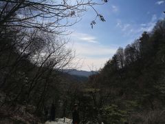 -王顺山国家森林公园