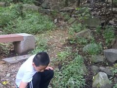 -阳台山自然风景区