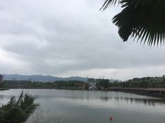 -枫香湖儿童公园