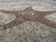 -重庆海昌加勒比海水世界