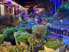 -山菌美食苑(振兴路店)