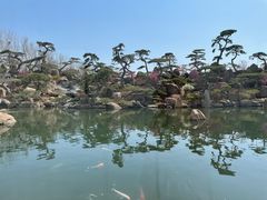 -罗红摄影艺术馆