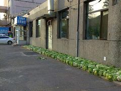 android_upload_pic-辽宁大学(崇山校区)