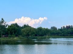 -东郊湿地公园