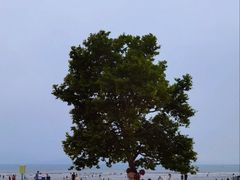 -青岛第一海水浴场