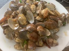 辣炒蛤蜊-1910老鲁味海鲜·戳子肉·青岛菜(金沙滩店)