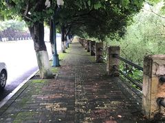 -大湾区中央湿地公园