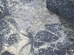 -蓝湾海滩