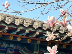 -碑林公园