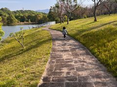 -福建鲤鱼洲酒店