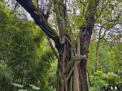 -成都杜甫草堂博物馆