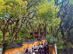 -普陀山风景名胜区-法雨禅寺