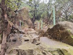 -南山植物园