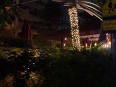 -Kinnaree by Vanessa WU