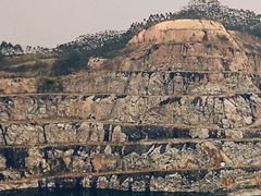 -黄埔油麻山森林公园