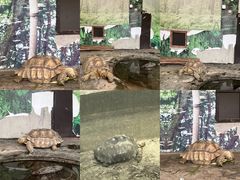 -上方山森林动物世界