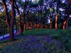 -上海市保健医疗中心