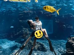 -三亚海棠湾喜来登度假酒店