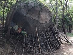 -白水寺森林公园