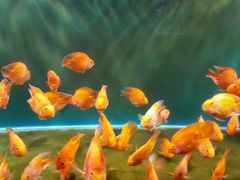 android_upload_pic-沙扒湾