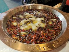 -雲蜀龙阁·金牌水煮鱼(方庄店)