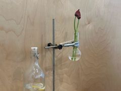 -常识咖啡common sense(春熙路店)