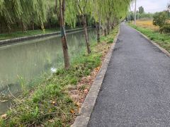 -广富林郊野公园
