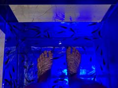 -菲拉拉漫温泉(东环路店)