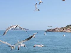 -海驴岛(荣成市)