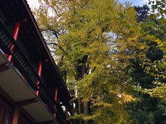 -青城山