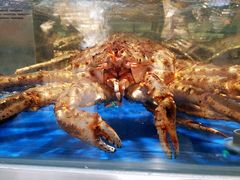 -盒马鲜生(莱蒙都会店)