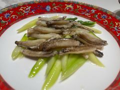 -新光酒家·河豚·海鲜·蟹料理(浦东店)