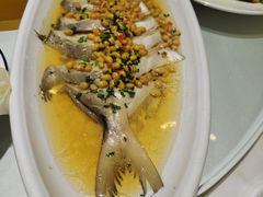 -天福苑(崇宁路店)