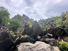 -梭布垭石林景区